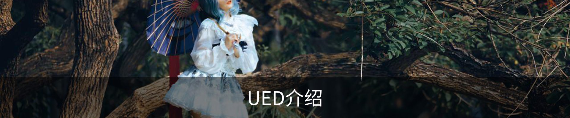 UED介绍